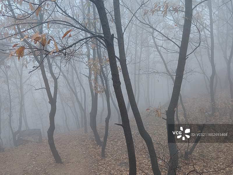立冬节气，攀爬莒县屋楼崮，大雾天气图片素材