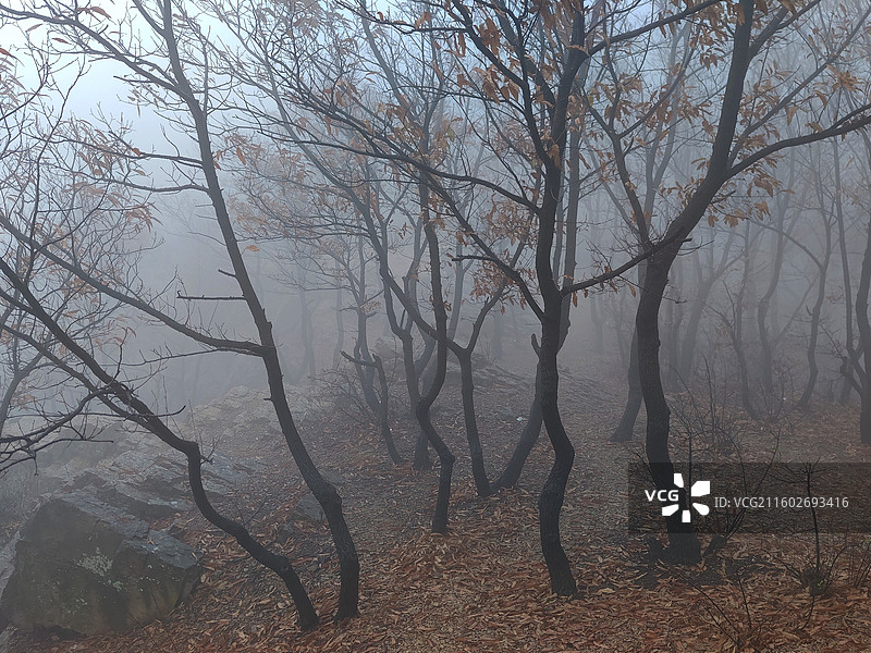 立冬节气，攀爬莒县屋楼崮，大雾天气图片素材