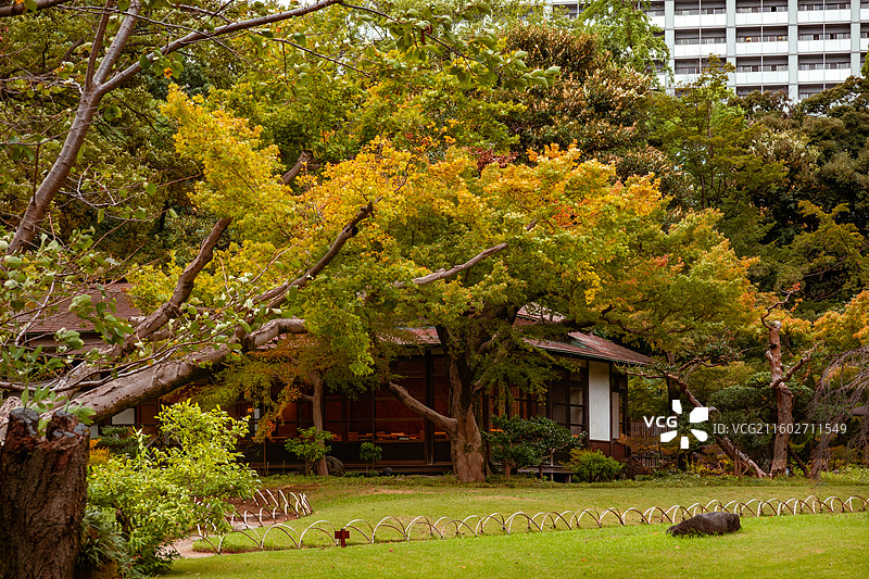 小石川后乐园图片素材
