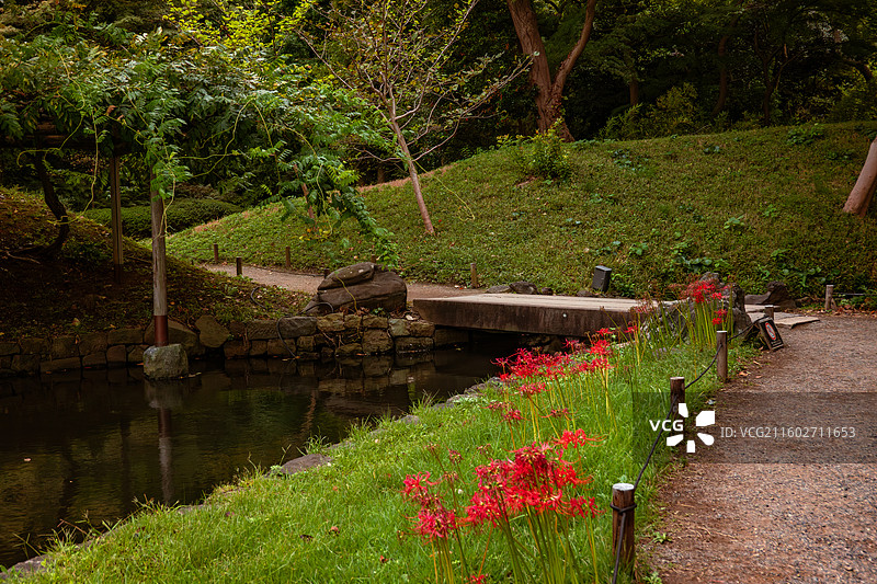 小石川后乐园图片素材