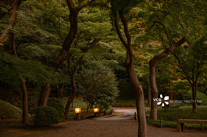 小石川后乐园图片素材