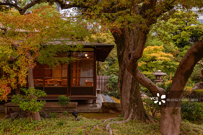小石川后乐园图片素材