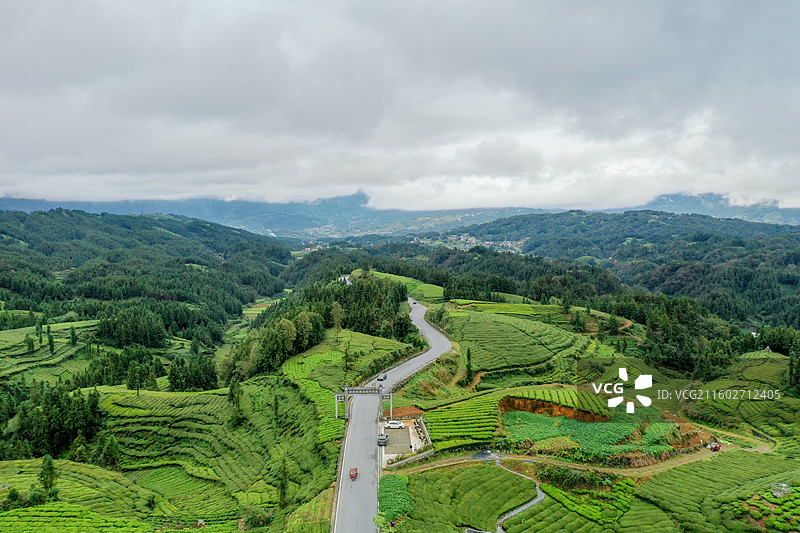湖北省恩施州鹤峰县走马镇木耳山茶园图片素材