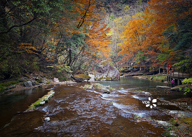 秋林溪谷，游人寻幽图片素材