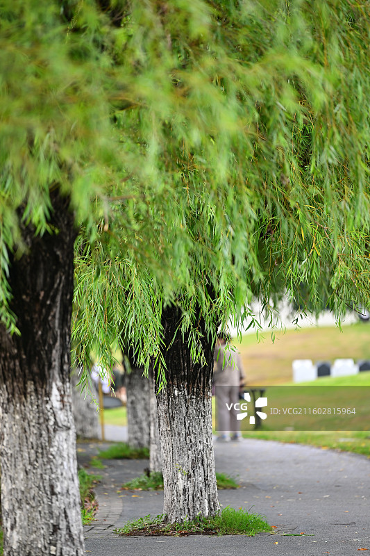 成都北湖生态公园图片素材