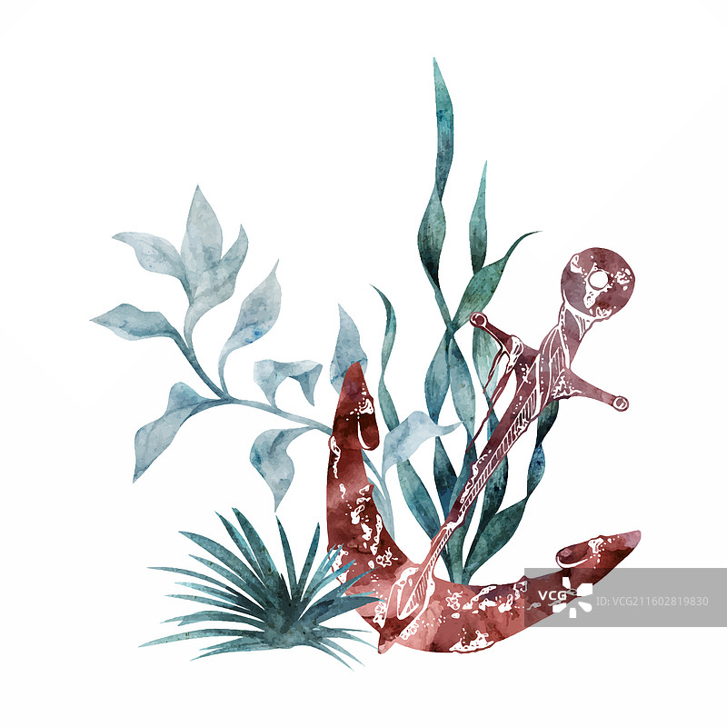 水彩和墨水手绘海洋生物海图片素材