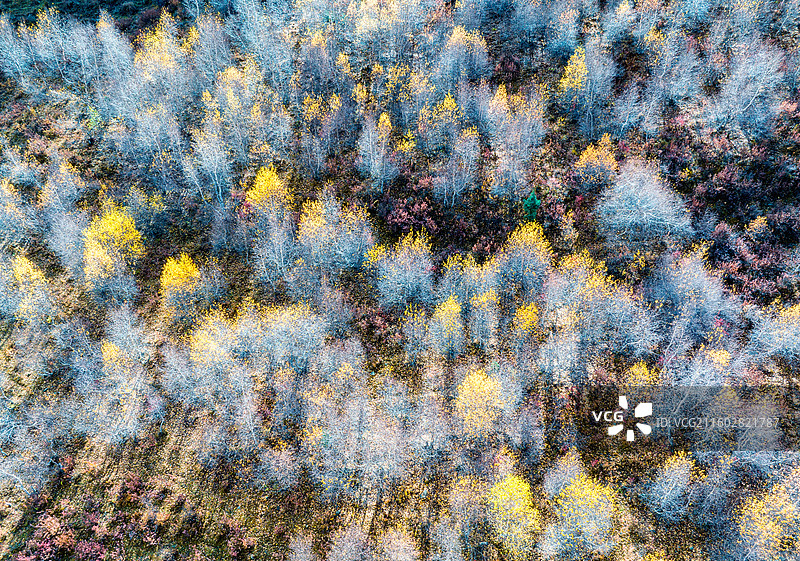 川西秋色图片素材