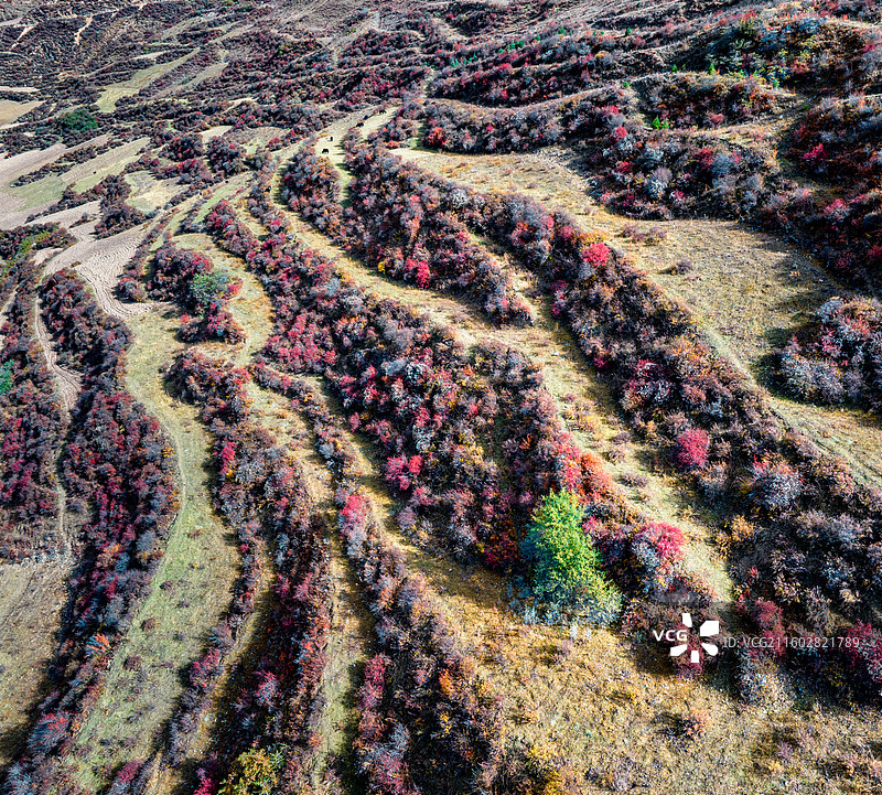 川西秋色图片素材
