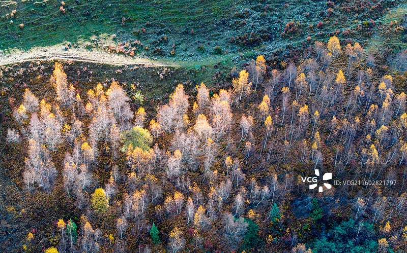 川西秋色图片素材
