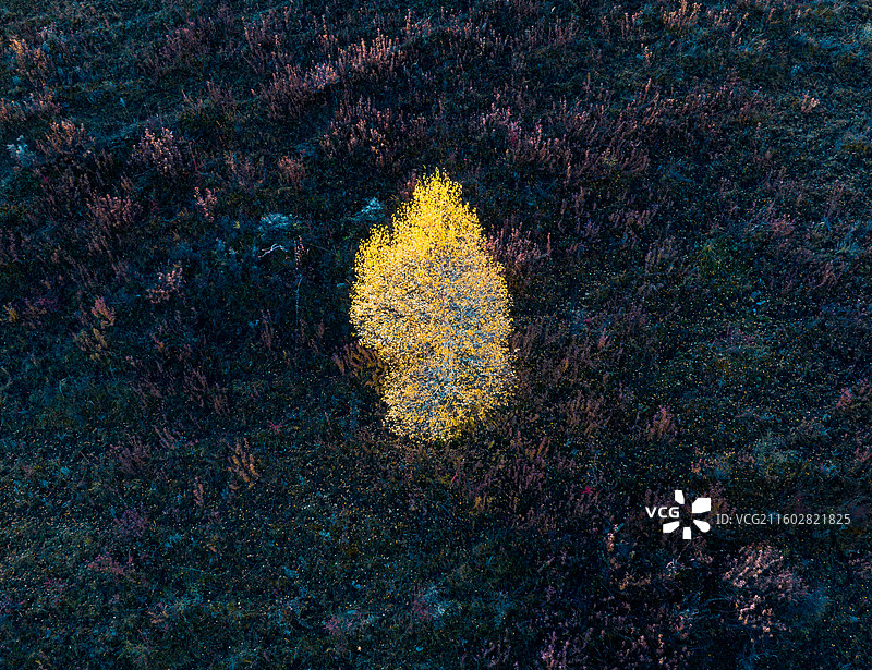 川西秋色图片素材