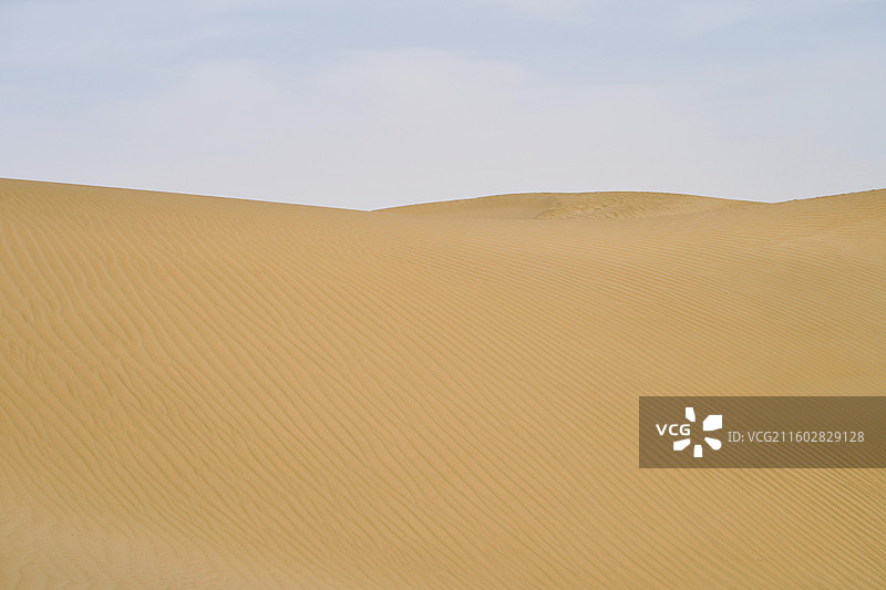 新疆塔克拉玛干沙漠沙海胡杨图片素材