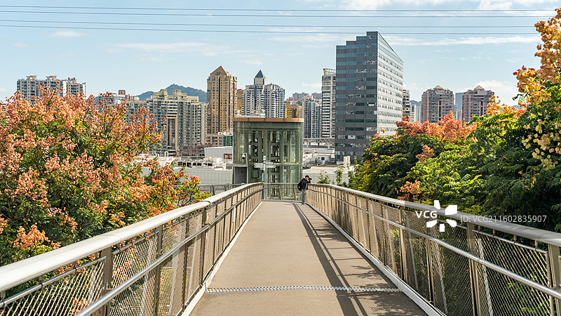 厦门山海步道和栾树图片素材