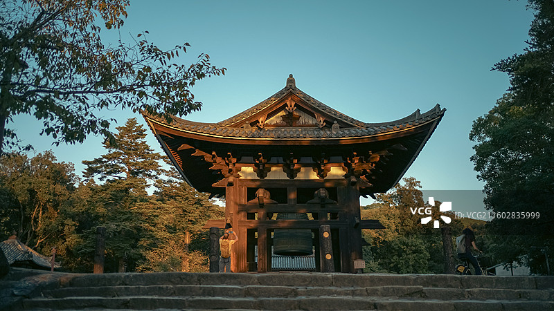 日本奈良二月堂旁小鹿与古建景观 木质山门建筑特写 夜景灯笼与人群剪影图片素材