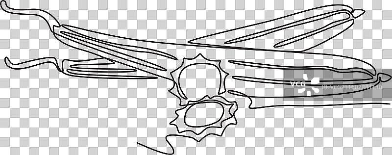 整体和切片的单线画图片素材