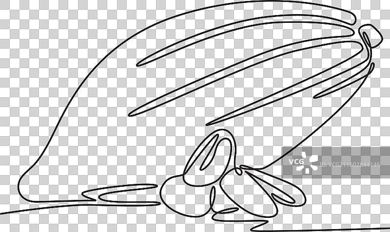 连续的、健康的、有机的、单线条绘画图片素材