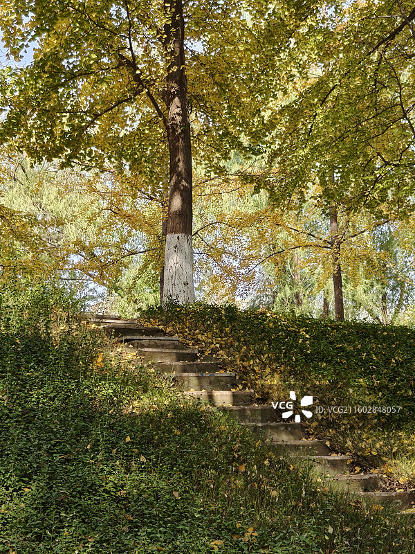 沙澧河风景区的秋图片素材