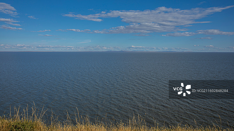 蓝天白云映衬广阔的呼伦湖图片素材