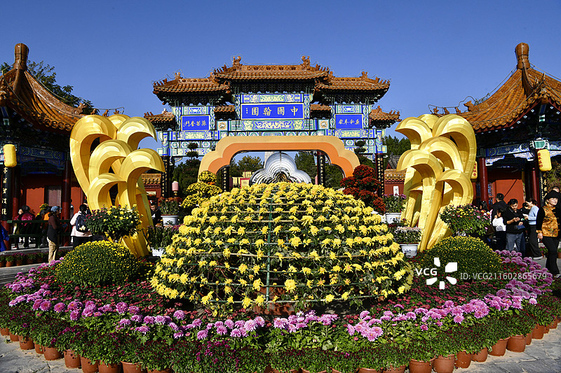 河南开封中国翰园菊花展图片素材