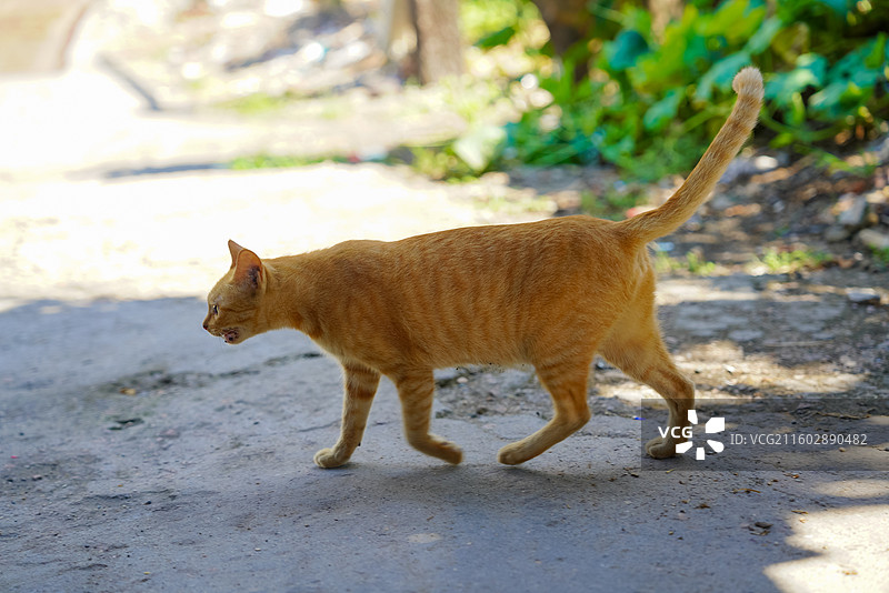 福建省三明市沙县区，沙县站，老火车站图片素材