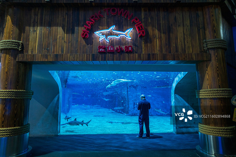 北京动物园图片素材