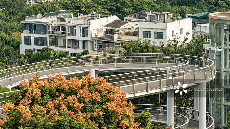 厦门山海步道和栾树图片素材