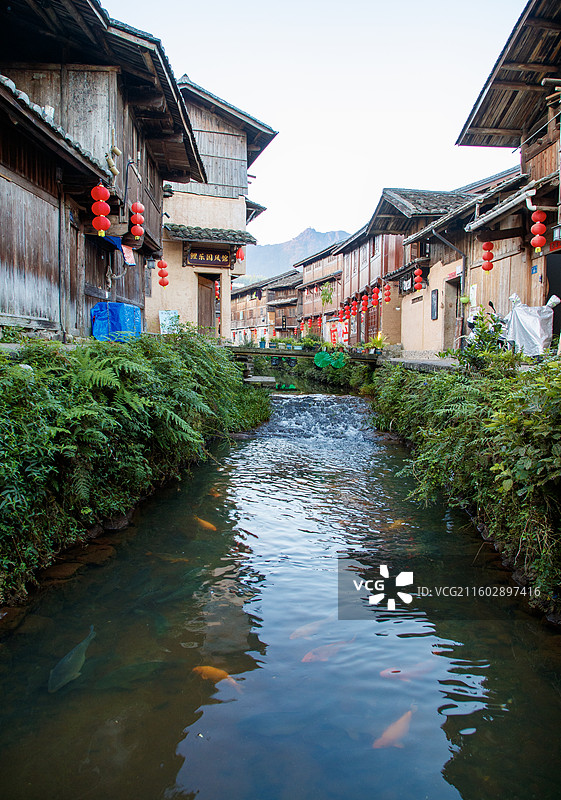 周宁鲤鱼溪图片素材