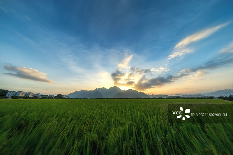 夕阳西下的农田顶天景观图片素材