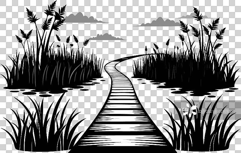 湿地小径 沼泽地上的高架步道图片素材