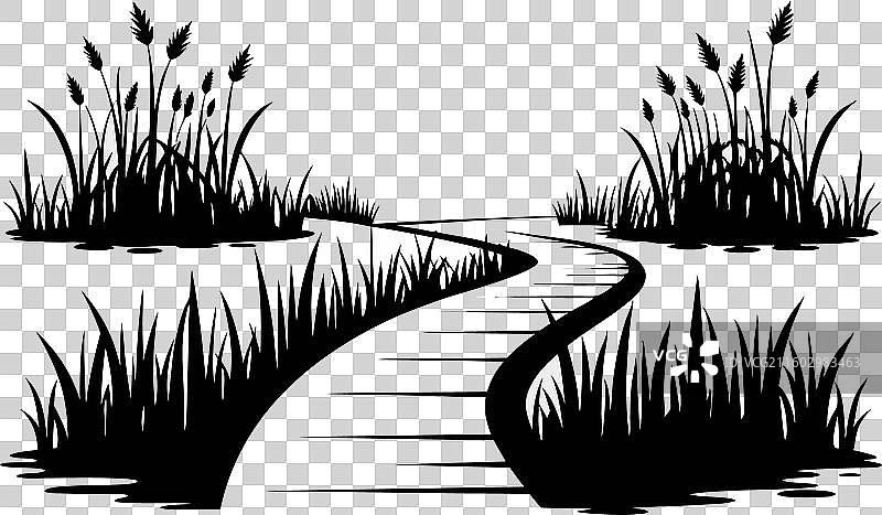 湿地小径 沼泽地上的高架栈道图片素材