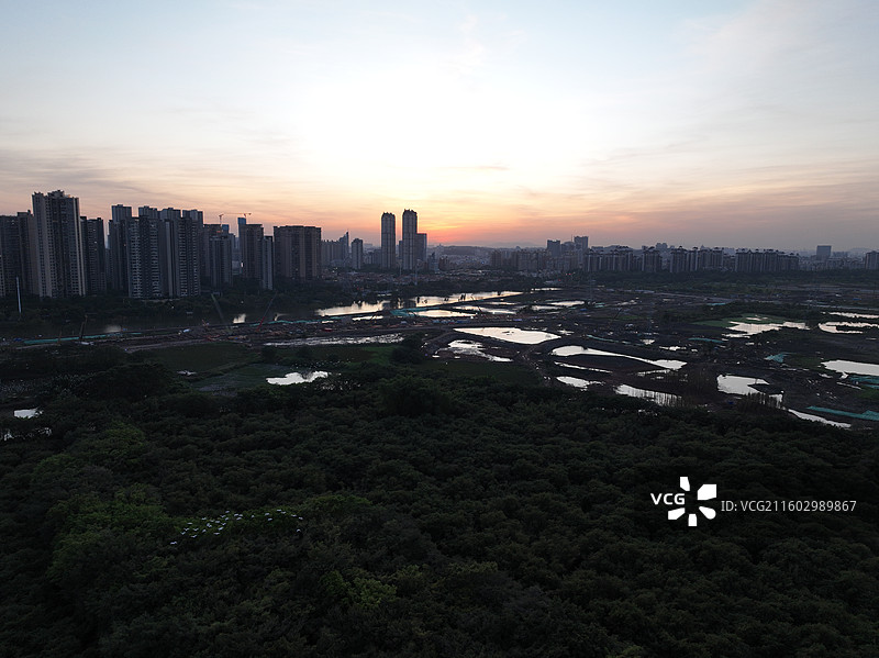 佛山顺德伦教三洲竹林湿地图片素材