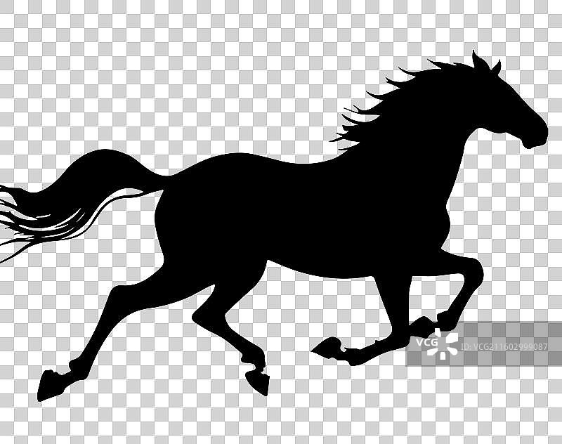 矢量黑色的马，运动中的马的轮廓,矢量马年剪影元素图片素材