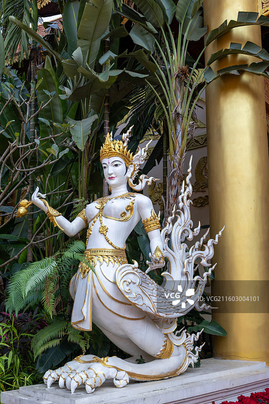 曼听花园 云南 西双版纳图片素材