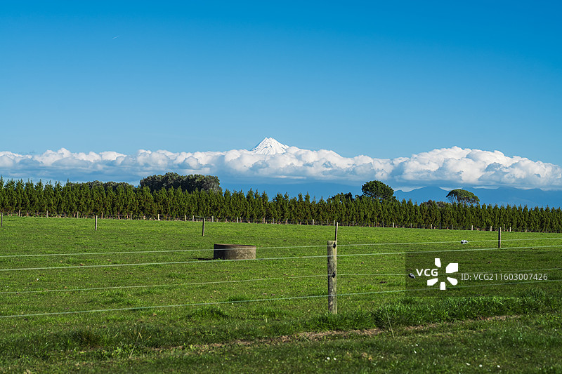 雪山下的牧场图片素材