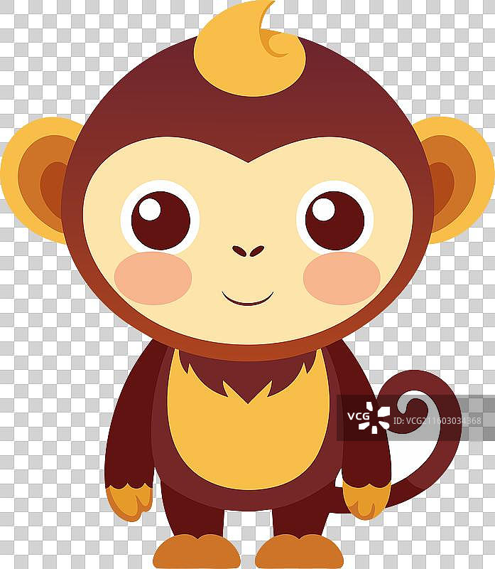 卡布钦猴子敲打可爱图片素材