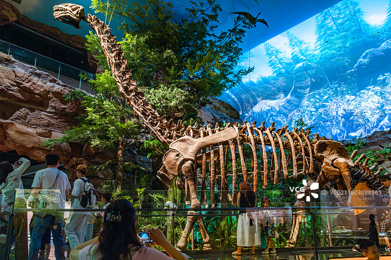 内蒙古博物院 远古世界图片素材