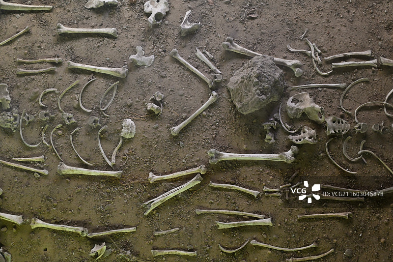 人体骨骼，抗日战争，军事主题红色旅游景区，世界反法西斯战争海拉尔纪念园，内蒙古呼伦贝尔海拉尔图片素材
