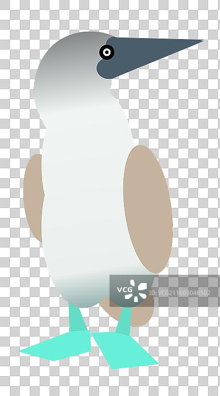 结巴鸟图片素材