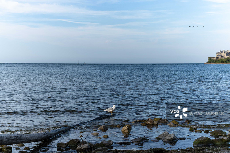 美丽宁静的韦兰河图片素材