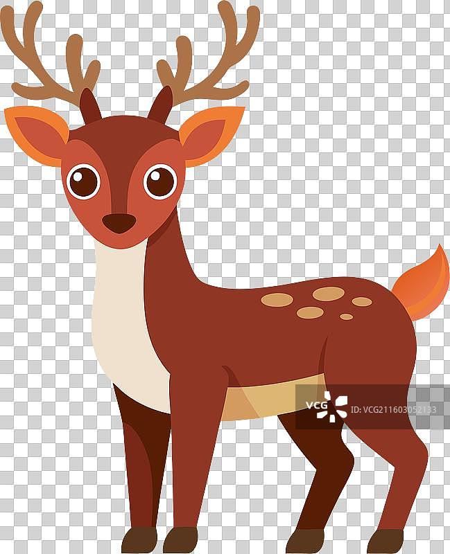 可爱的驯鹿站着图片素材