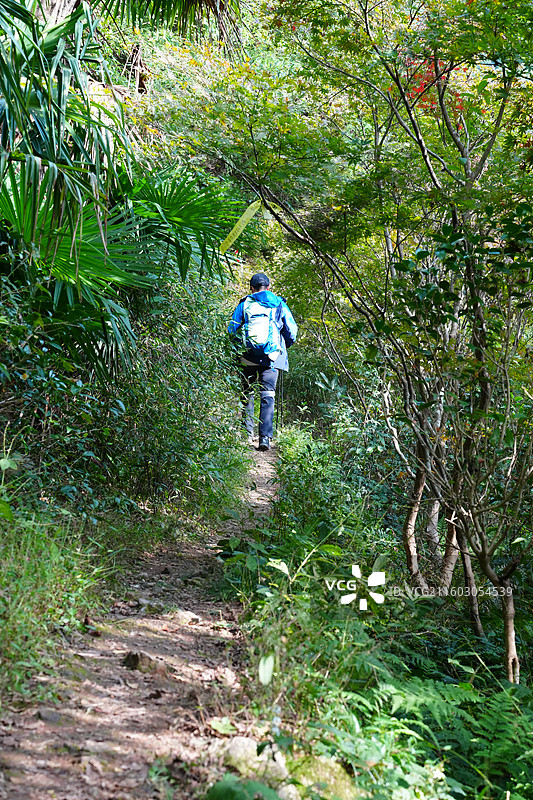 宁波 奉化 溪口镇 雪窦山 山区 徒步 户外 旅行 冒险 山路图片素材
