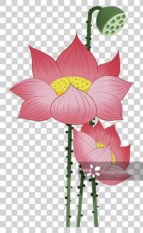 彩色插画卡通花卉花朵植物素材免扣元素设计边框小花矢量图文艺风荷花抽象美丽可爱图片素材