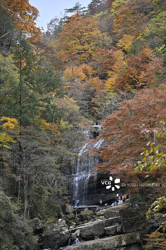 黎坪国家森林公园图片素材