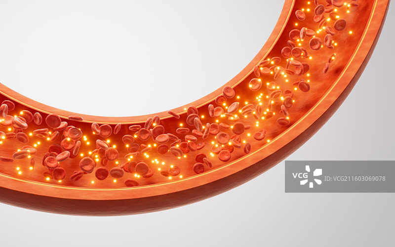 生物医学血管结构三维渲染图片素材