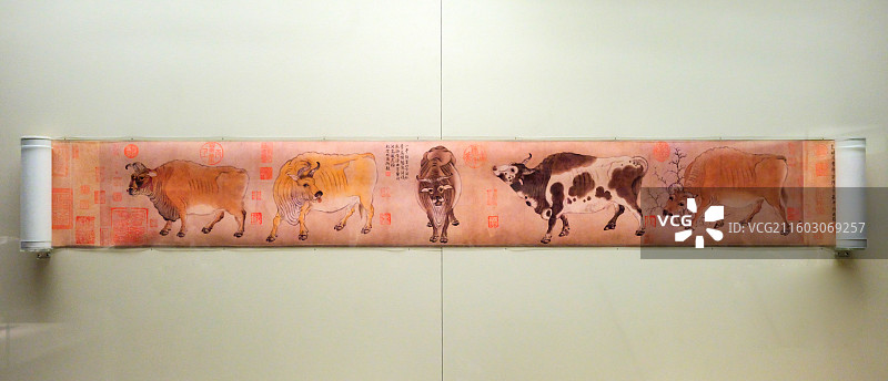 《五牛图》（印本） 唐·韩滉绘 原作藏故宫博物院 中国国家博物馆“古代中国基本陈列”图片素材