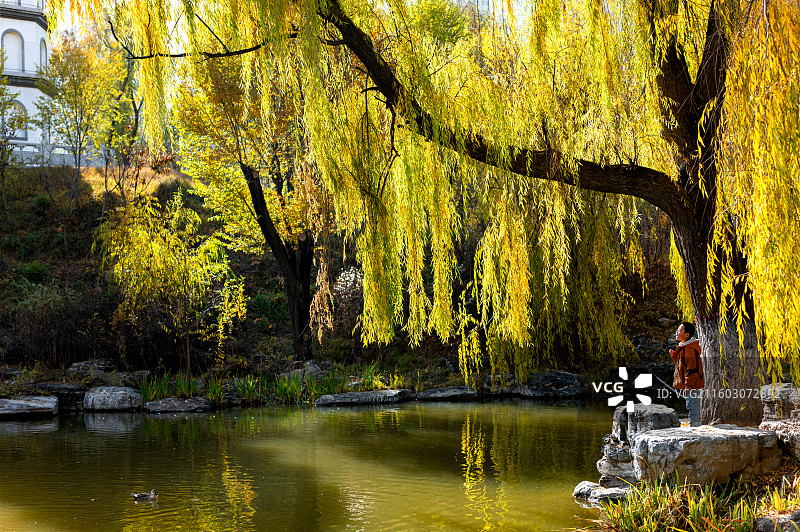 立冬的西宁人民公园图片素材