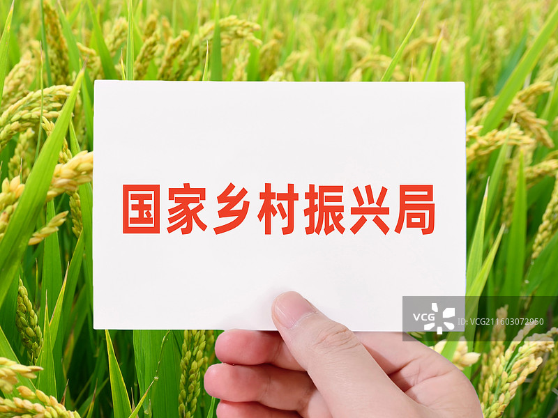 国家乡村振兴局图片素材