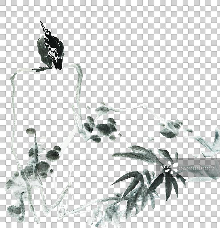 东方美学 高雅 禅意 手绘 国画 水墨 石头 竹叶 鸟 八大山人图片素材