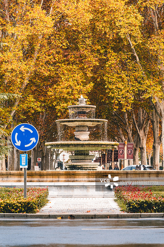 秋天公园里的喷泉图片素材