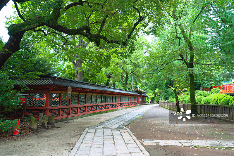 东京都，根津神社图片素材