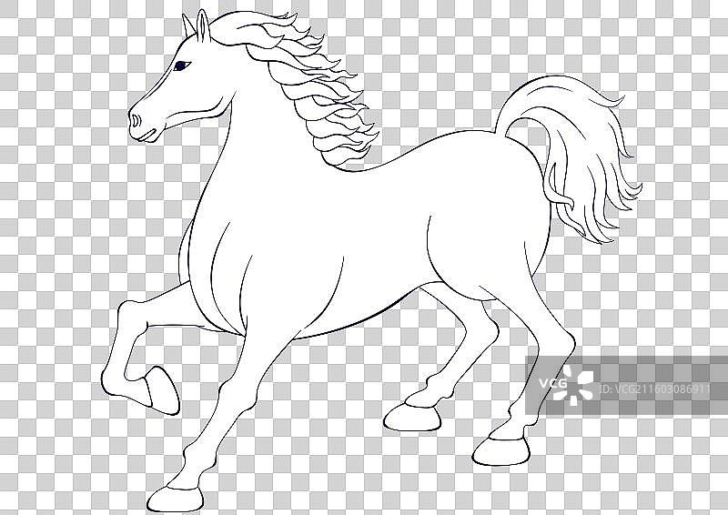 马年欢腾的马线稿图片素材